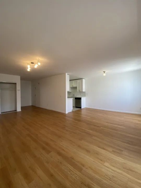 334134 - Image 3